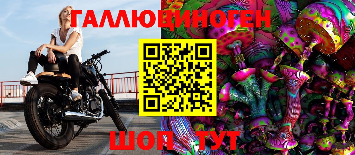 Донской  Псилоцибиновые грибы прущие грибы  Вход с VPN 