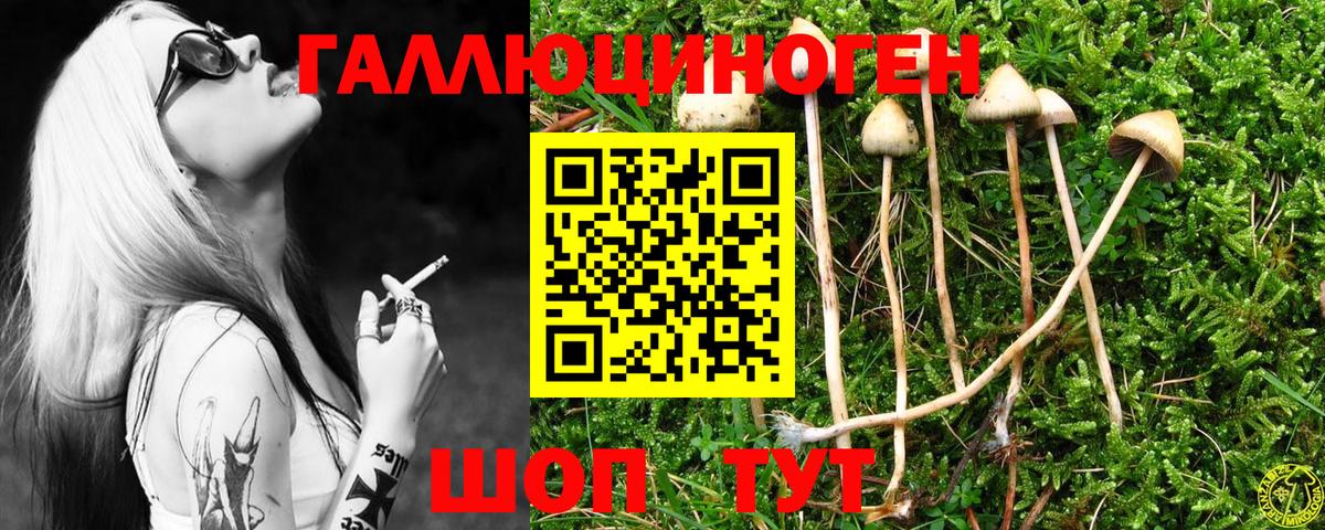 Псилоцибиновые грибы мицелий Донской